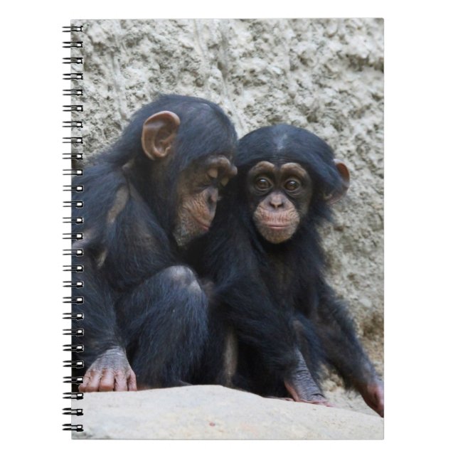 Chimpanzee 002 spiral notebook (Front)