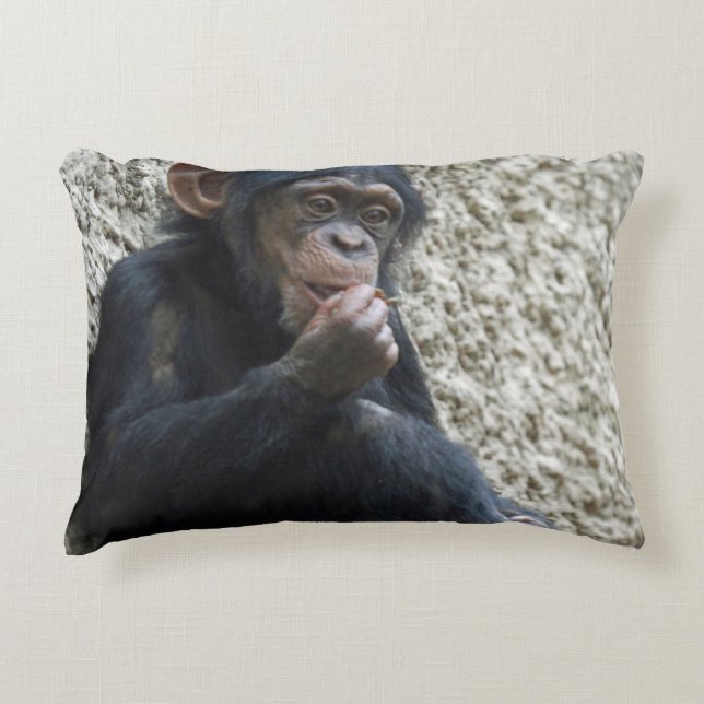 Chimpanzee 013 decorative cushion (Front)