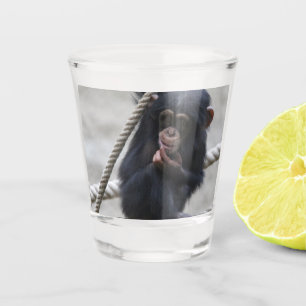 Chimpanzee 030 shot glass