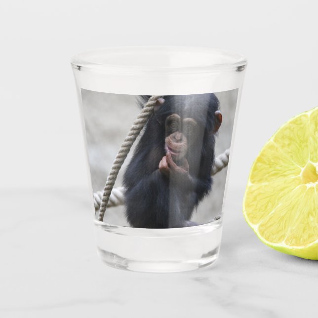 Chimpanzee 030 shot glass (Front)