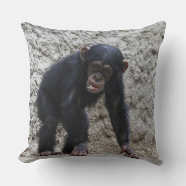 Chimpanzee 031 cushion (Front)
