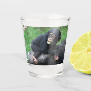 Chimpanzee 032 shot glass