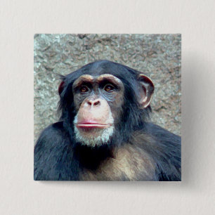 Chimpanzee 15 Cm Square Badge