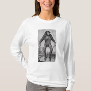 Chimpanzee, 1699 T-Shirt