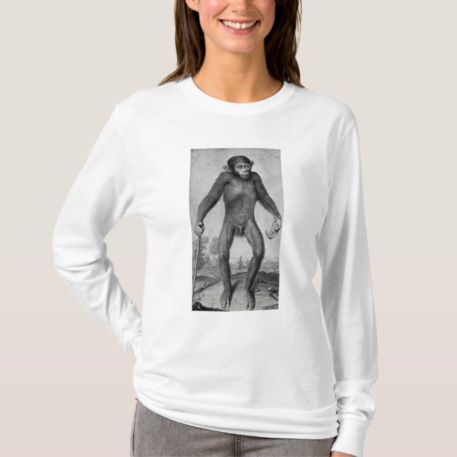 Chimpanzee, 1699 T-Shirt (Front)