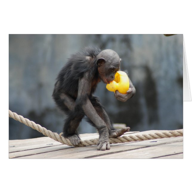Chimpanzee and Rubbery Ducky (Front Horizontal)