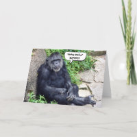 Chimpanzee Birthday Humour