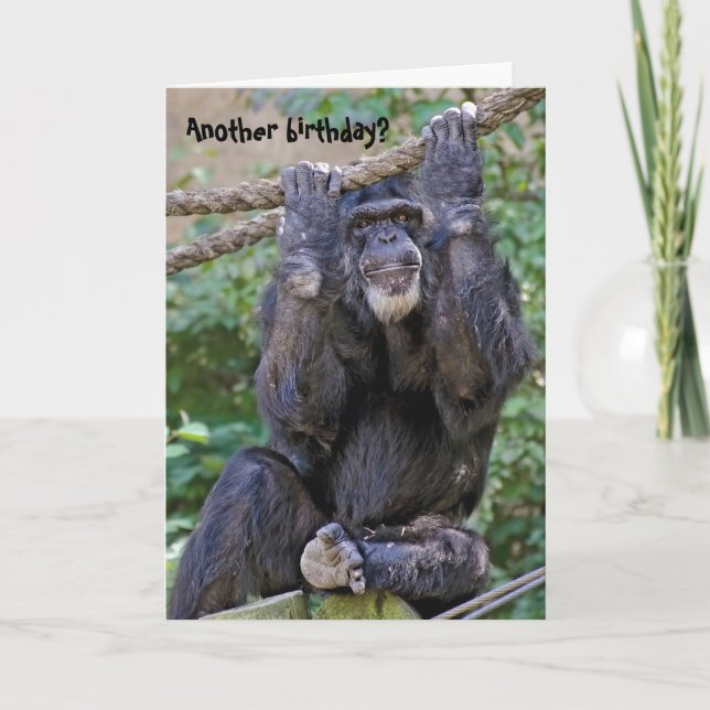 Chimpanzee Birthday Humour Card (Front)