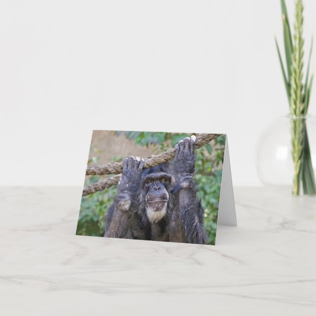 Chimpanzee Birthday Humour Card (Front)
