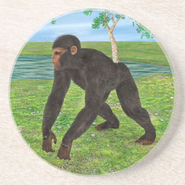 Chimpanzee Coaster (Front)