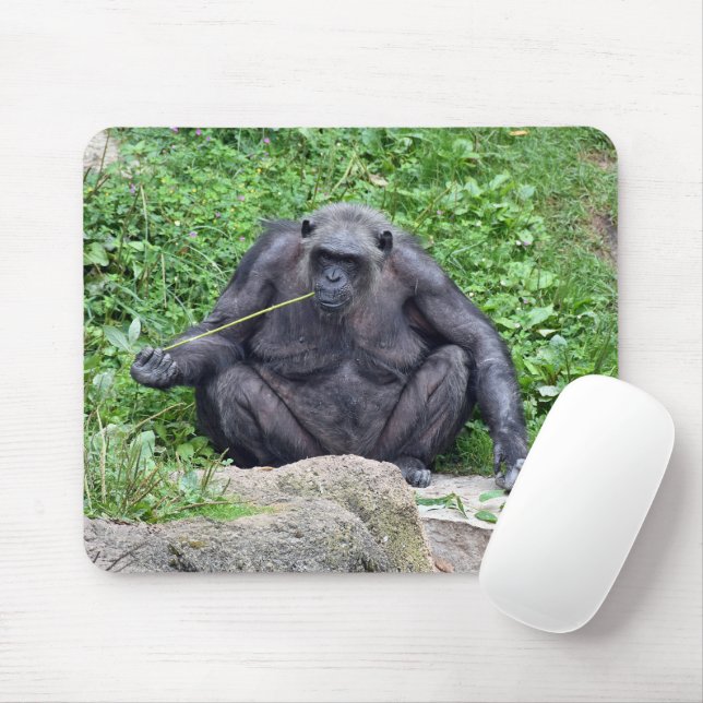 Chimpanzee Eating Grass Mouse Pad (With Mouse)