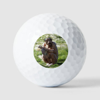 CHIMPANZEE GOLF BALLS