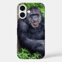 Chimpanzee In Green Plants