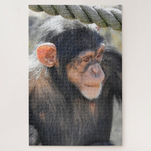Chimpanzee Jigsaw Puzzle