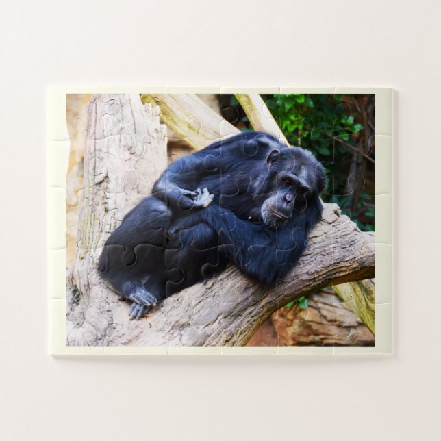 Chimpanzee Jigsaw Puzzle (Horizontal)