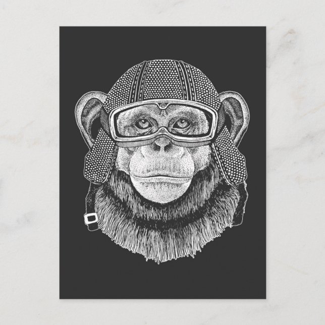 Chimpanzee Motorcycle Rider Postcard (Front)