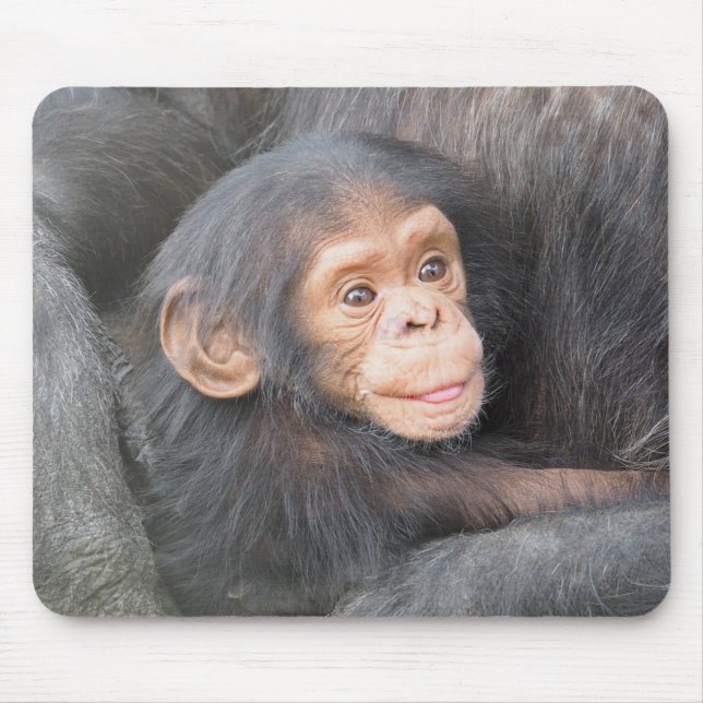 Chimpanzee Mouse Pad (Front)