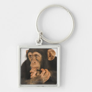 Chimpanzee (Pan troglodytes). Young playfull 2 Key Ring