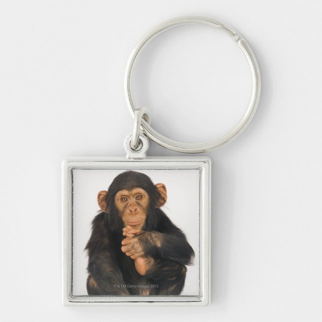 Chimpanzee (Pan troglodytes). Young playfull Key Ring (Front)