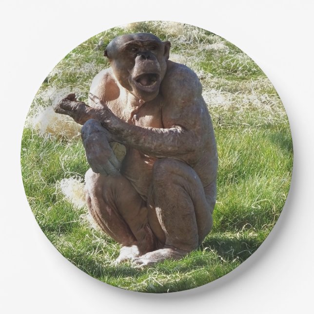 CHIMPANZEE PAPER PLATE (Front)