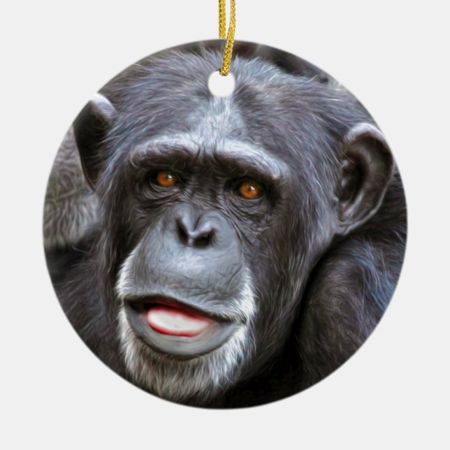 Chimpanzee Photo Ceramic Tree Decoration (Front)