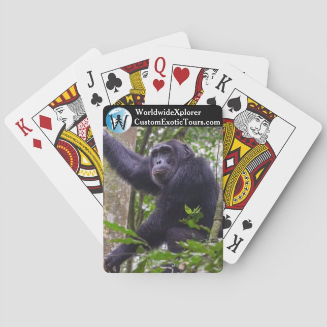 Chimpanzee playing cards (Back)