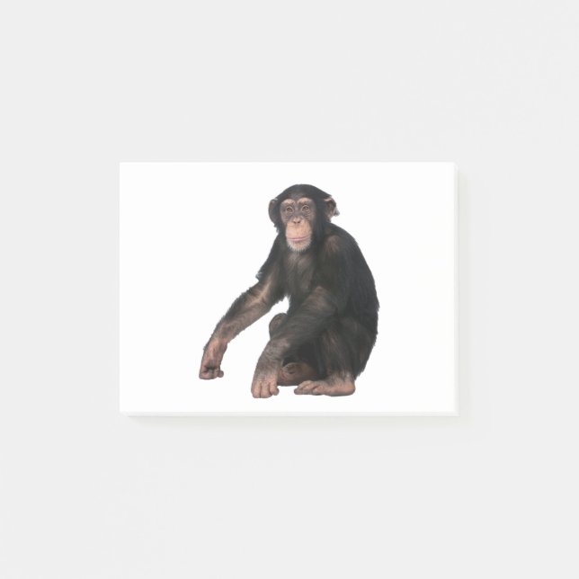 Chimpanzee Post-it Notes (Front)