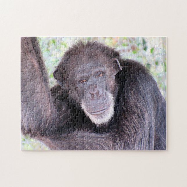 Chimpanzee Puzzle (Horizontal)