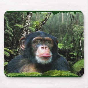 Chimpanzee Rainforest Conservation Mousepad