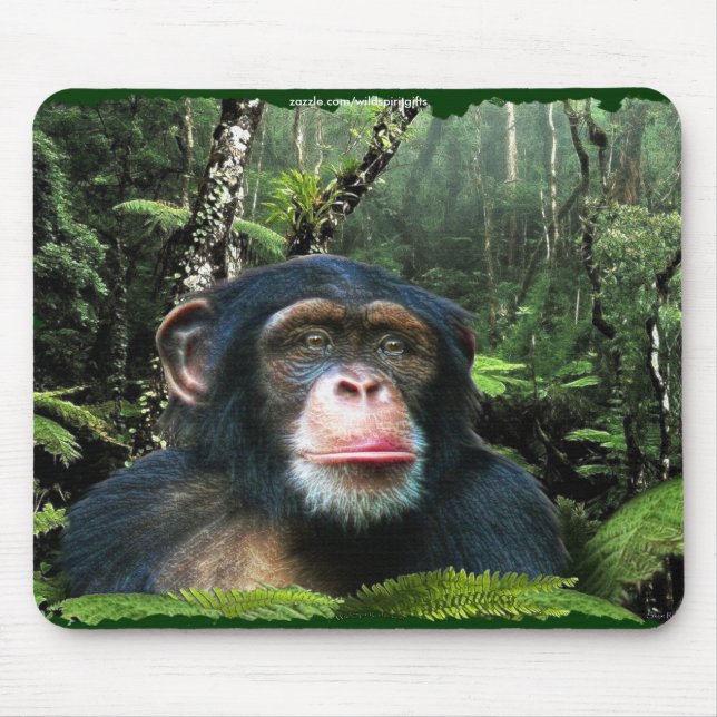 Chimpanzee Rainforest Conservation Mousepad (Front)