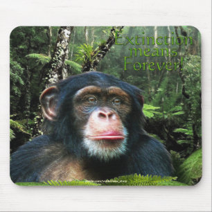 Chimpanzee & Rainforest Wildlife-support Mousepad