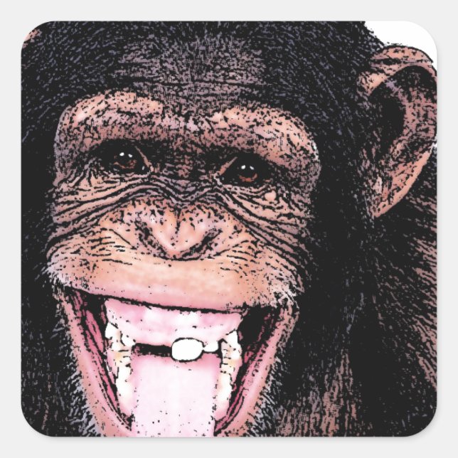 Chimpanzee Square Sticker (Front)