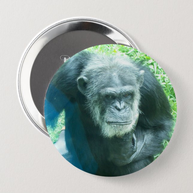 Chimpanzee Thinking 10 Cm Round Badge (Front & Back)