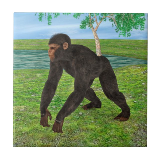 Chimpanzee Tile (Front)