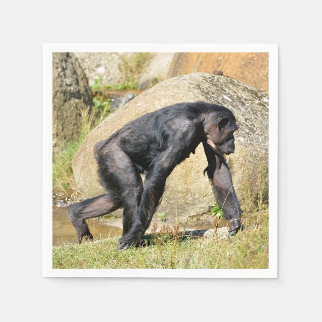 Chimpanzee walking in grass napkin (Front)