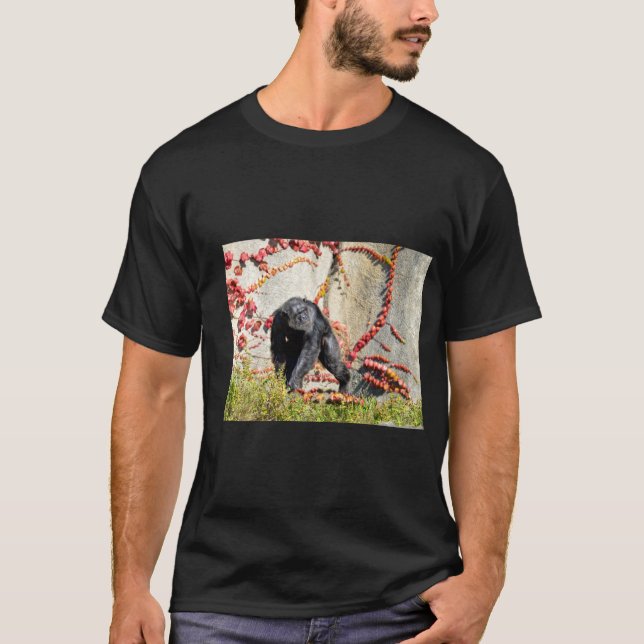 Chimpanzee walking on grass postcard square sticke T-Shirt (Front)