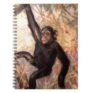 chimpanzeehangingintree002_original spiral notebook