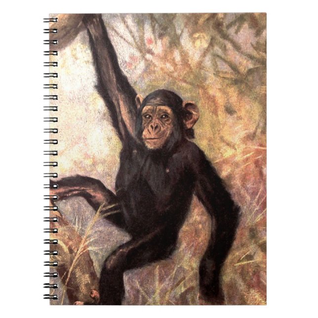 chimpanzeehangingintree002_original spiral notebook (Front)