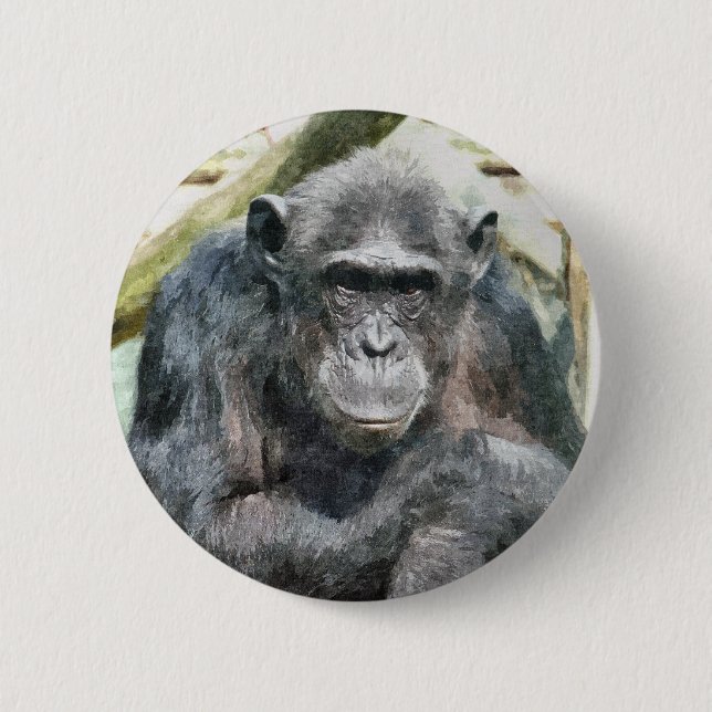 CHIMPANZEES 6 CM ROUND BADGE (Front)