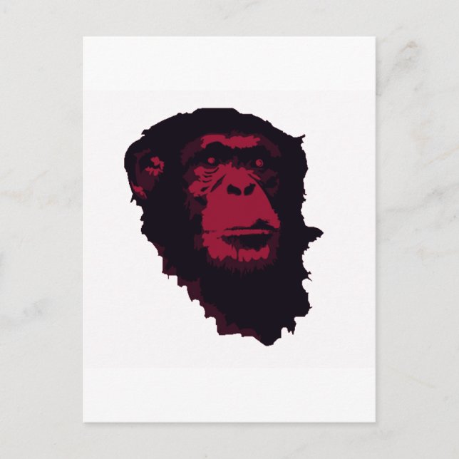 CHIMPANZEES ARE AMAZING POSTCARD (Front)