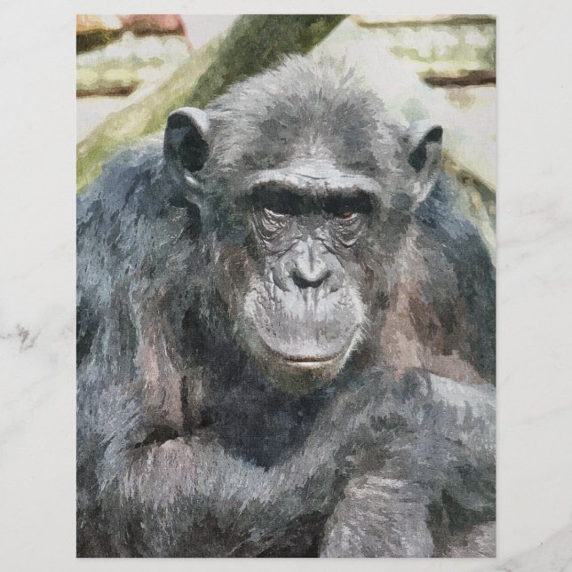 CHIMPANZEES FLYER (Front)