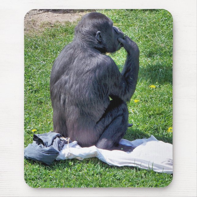CHIMPANZEES MOUSE PAD (Front)