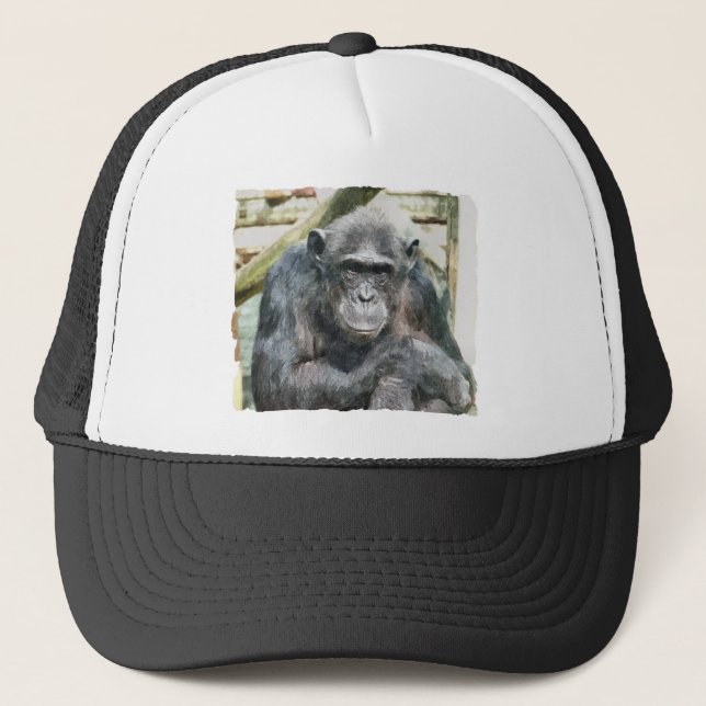 CHIMPANZEES TRUCKER HAT (Front)