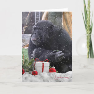 Chimpanzees with Christmas Joy! 5x7 Blank Card