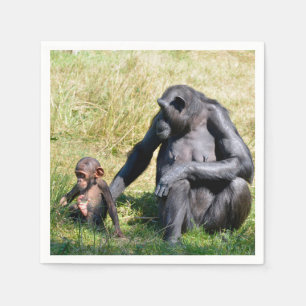Chimpanzees with her baby sitting on grass napkin