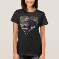 Chimps Chimpanzees Monkey Gifts