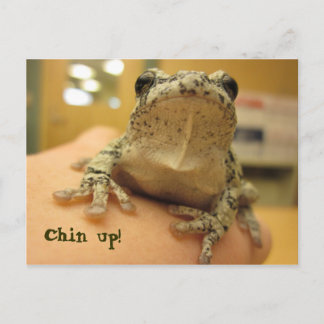Chin up! postcard