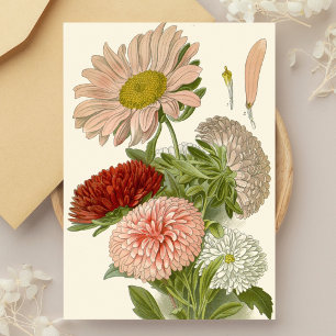 China Asters – Exquisite Vintage Floral Botanical Postcard