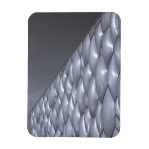 China, Beijing. National Aquatics Centre Magnet