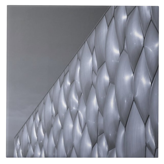 China, Beijing. National Aquatics Centre Tile (Front)